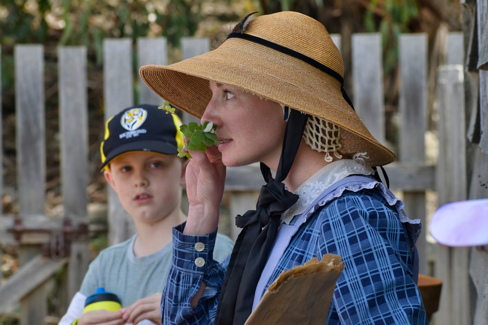 Especias y hierbas aromáticas Especias y hierbas aromáticas