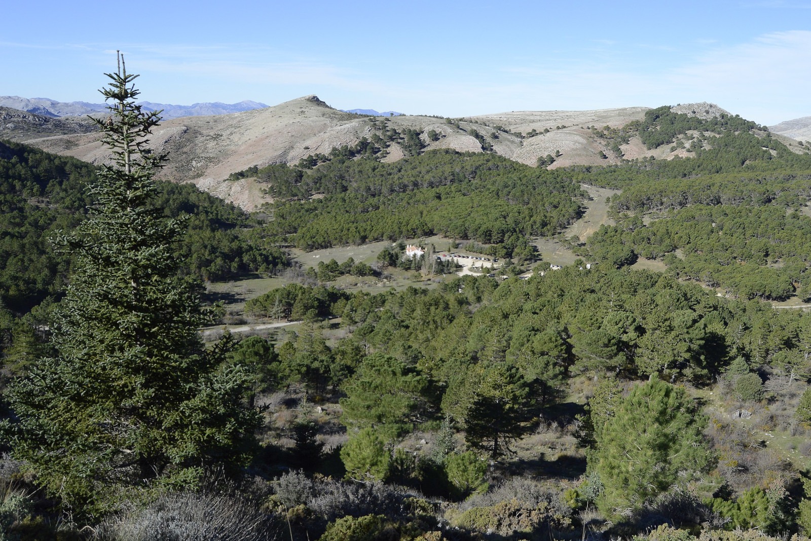 Naturaleza en acción