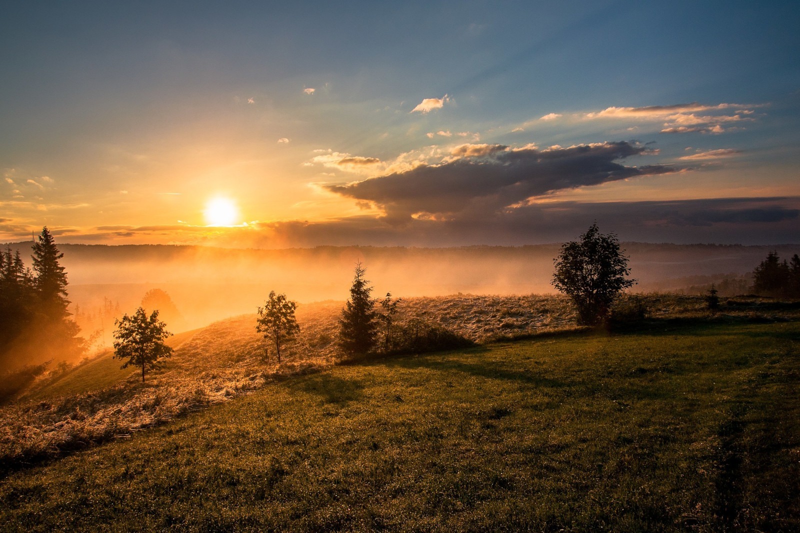 Un futuro con esperanza