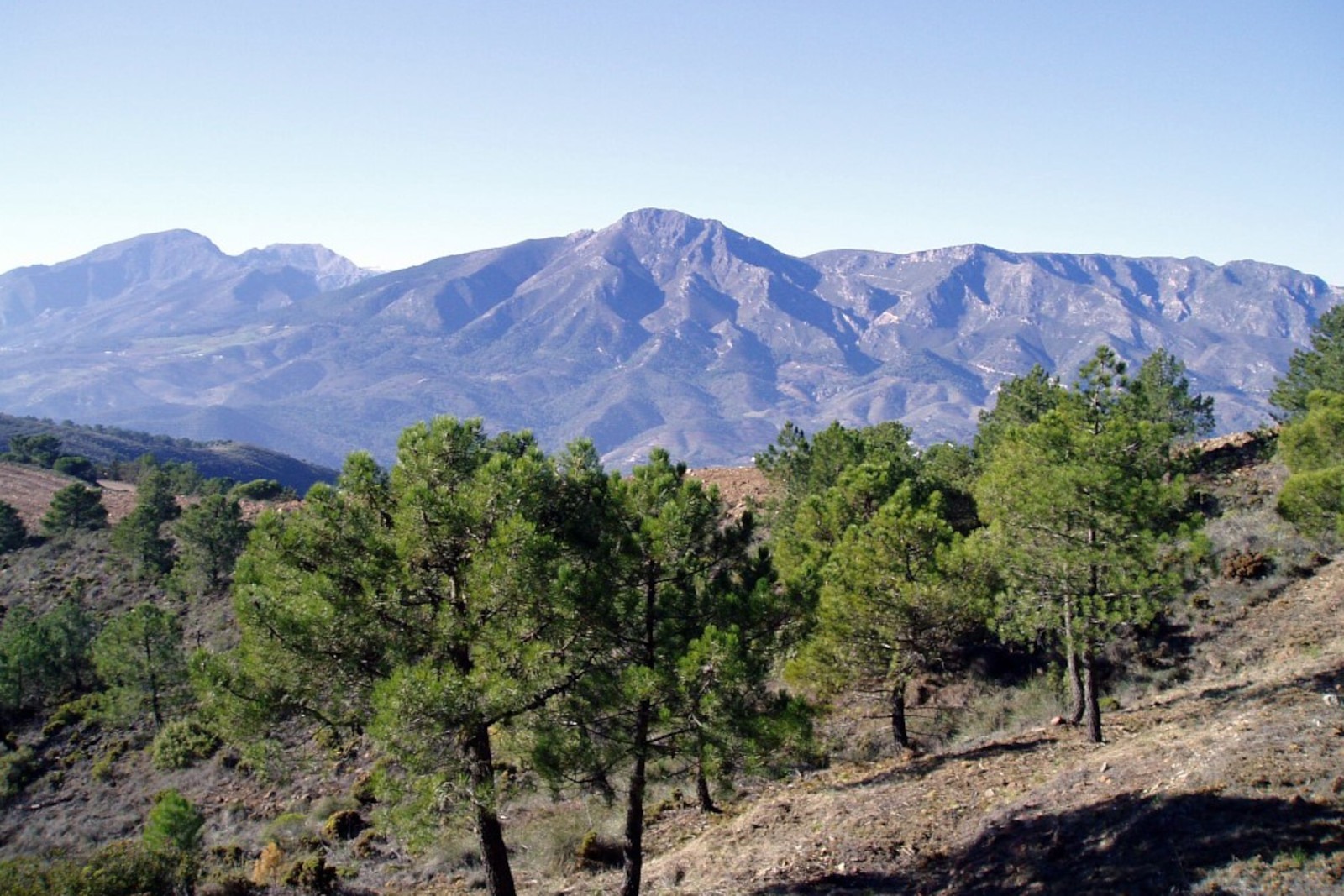 En los años que pasaron